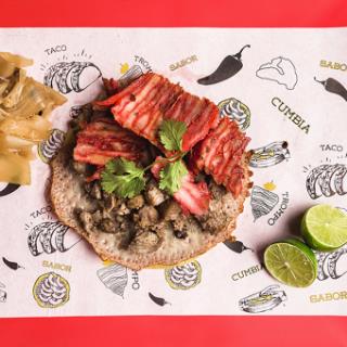 COSTRA CAMPECHANA
