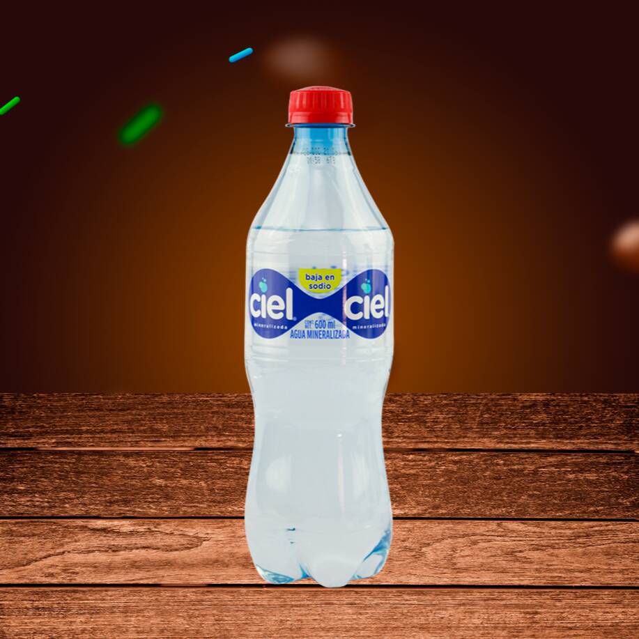 Agua Mineral Botella Tr 600Ml