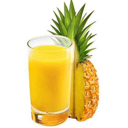 Jugo de Piña 500 ml