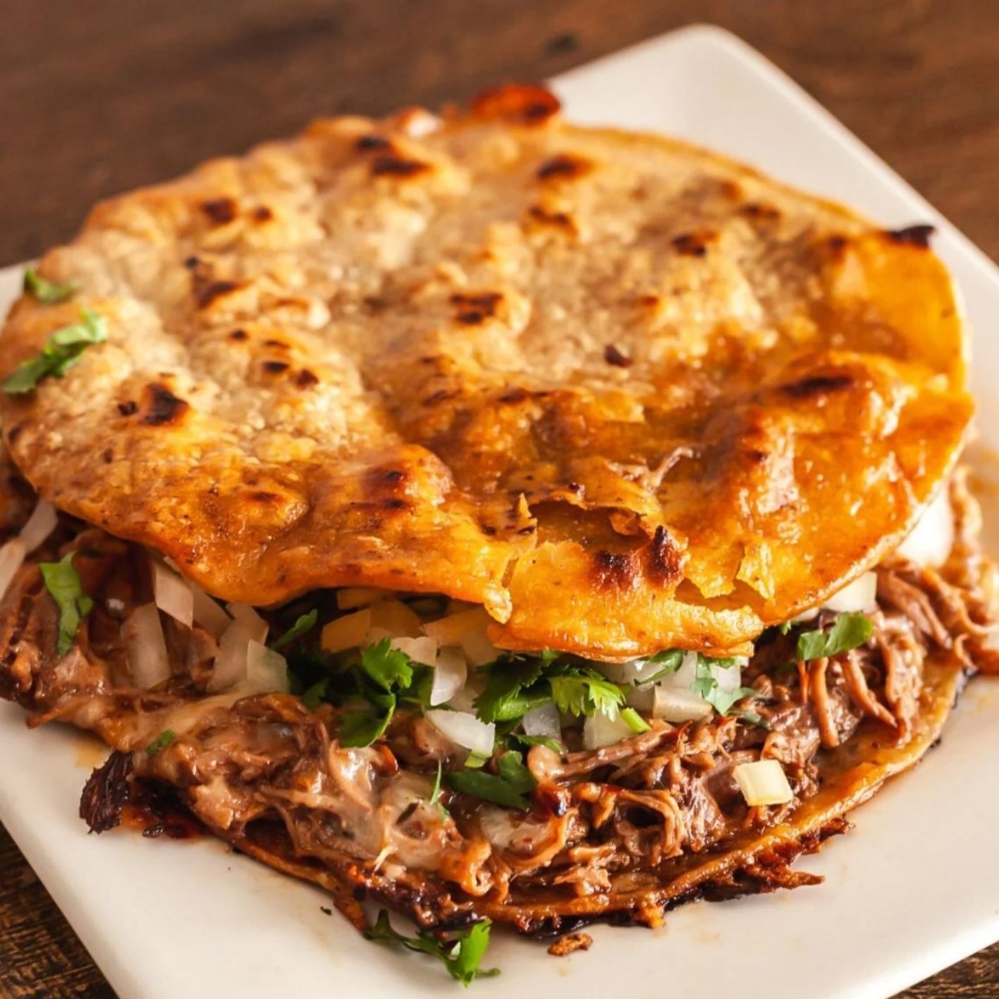 Mulita de Birria