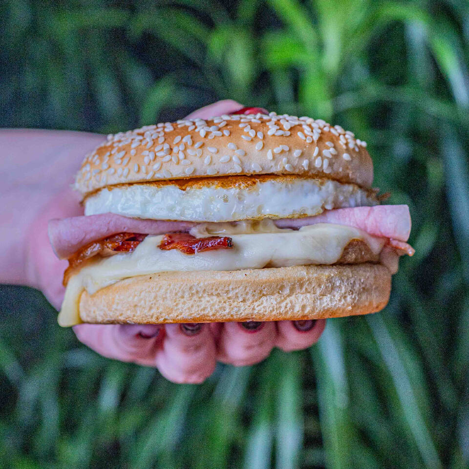 Pão macio, hambúrguer, queijo, ovo, presunto e bacon.