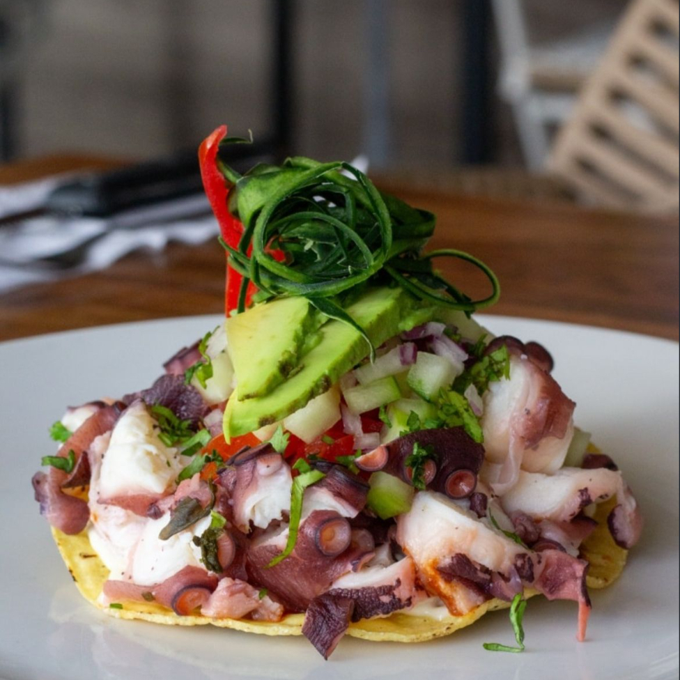 Tostada de Pulpo