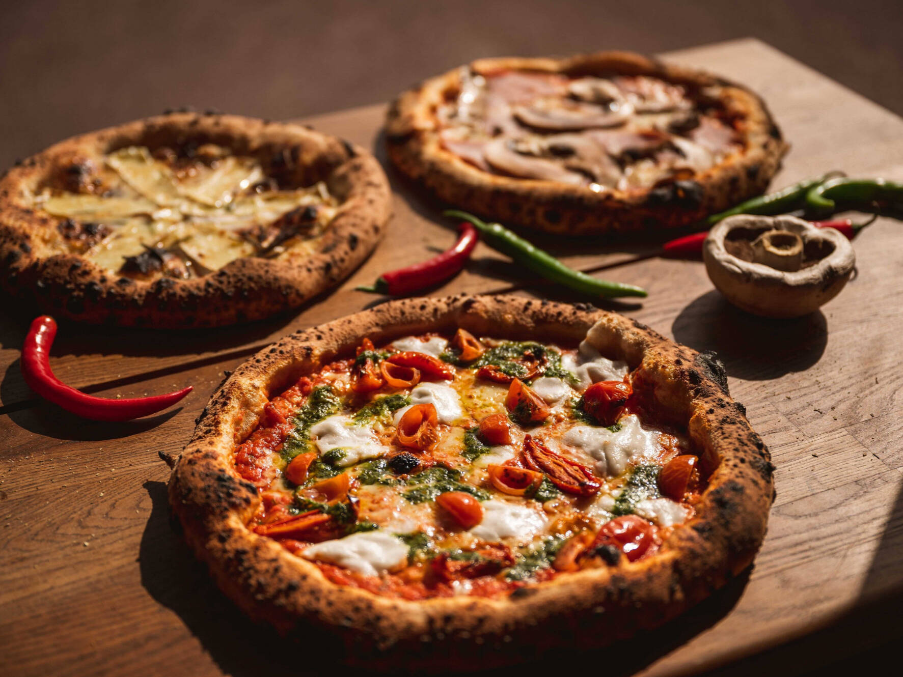 HORNERO EXPRESS CACHO