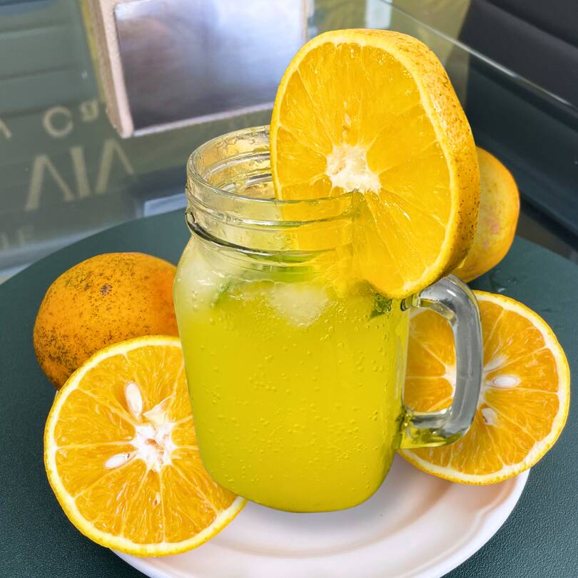 Naranjada 500ml