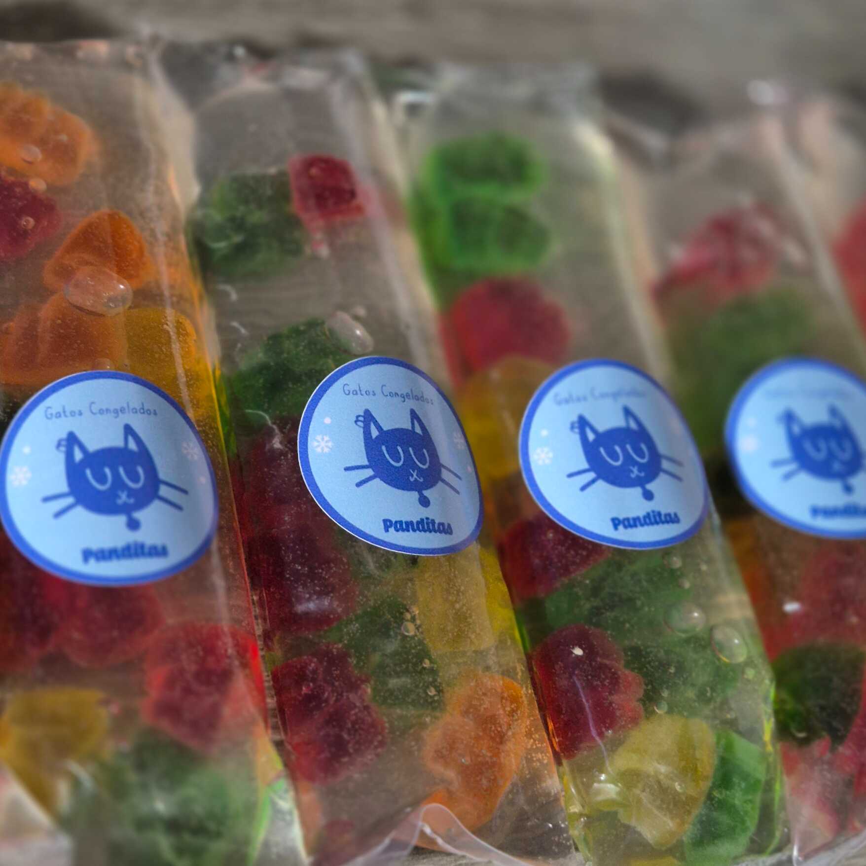 Panditas