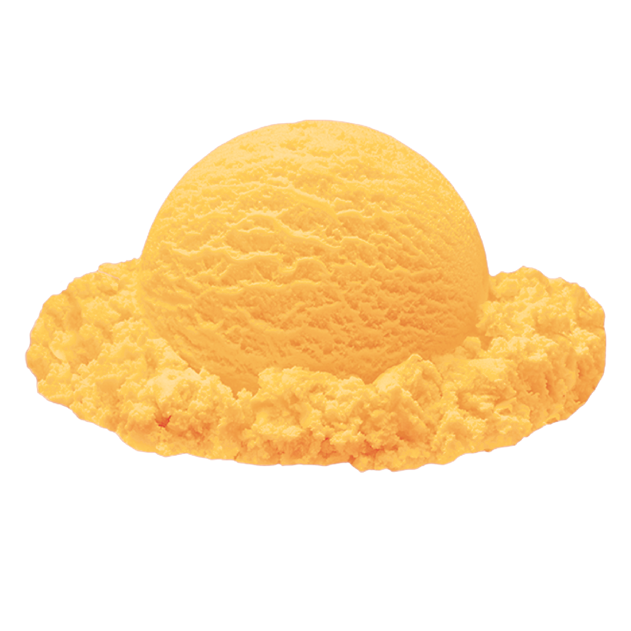 Nieve de Mandarina Sherbet
