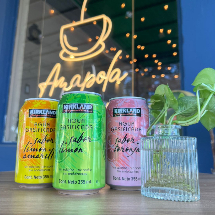 Agua Mineral Toronja 355ml