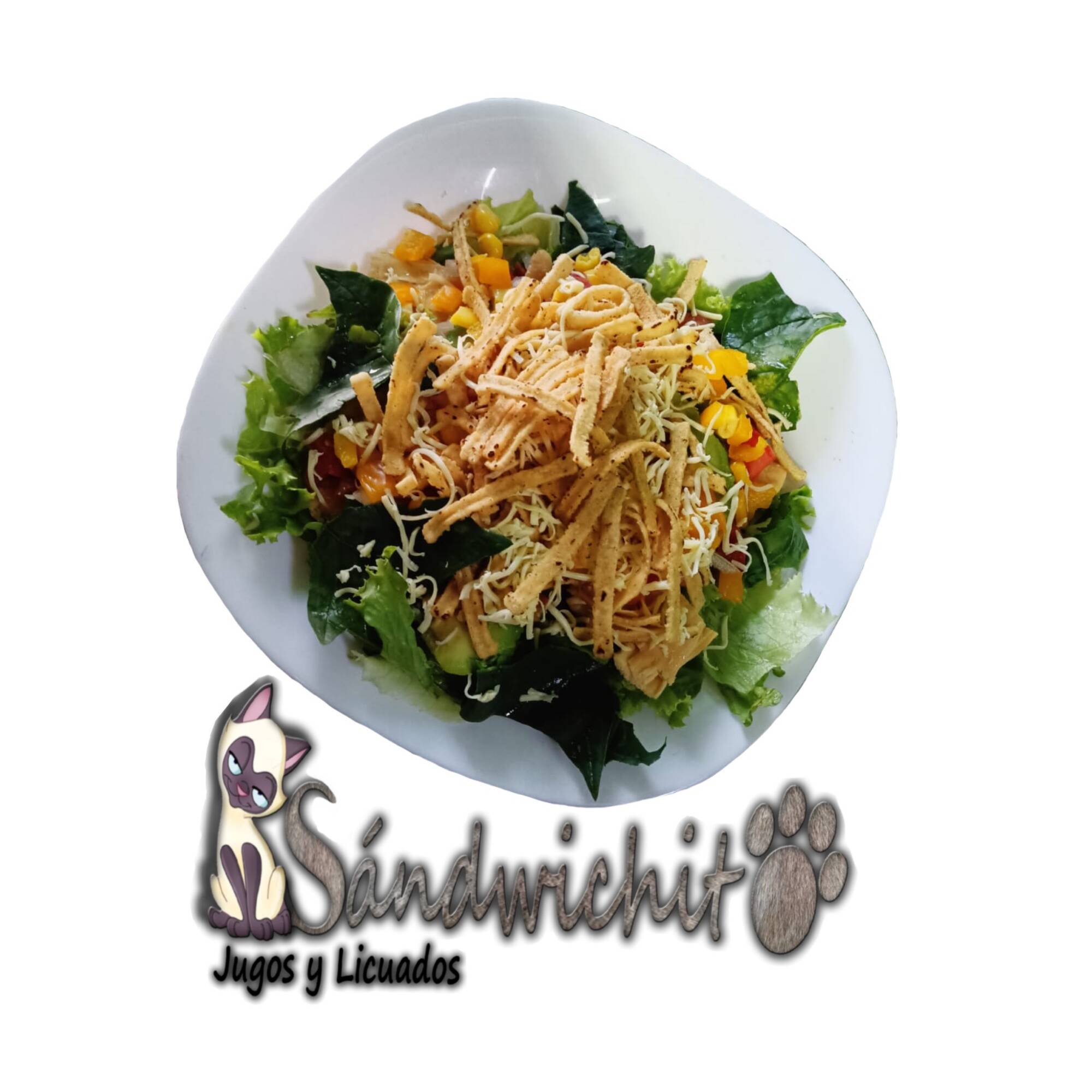 Ensalada Mexicanísima