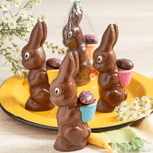 Conejo Baúl Mediano