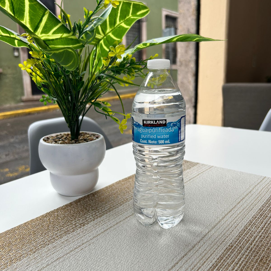 Agua embotellada 500ml