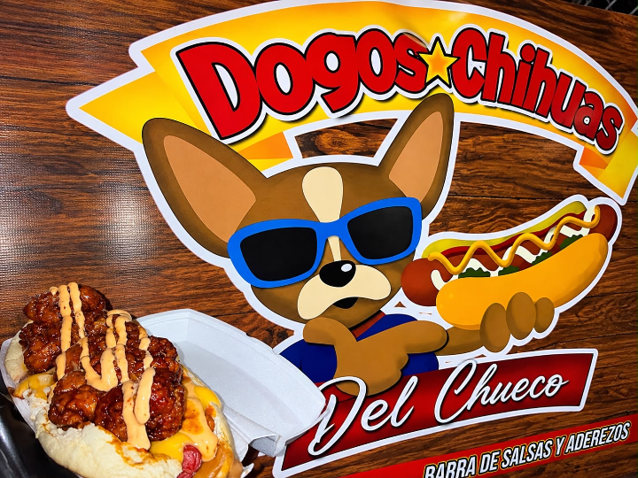 Dogos Chihuas Sucursal Saucito
