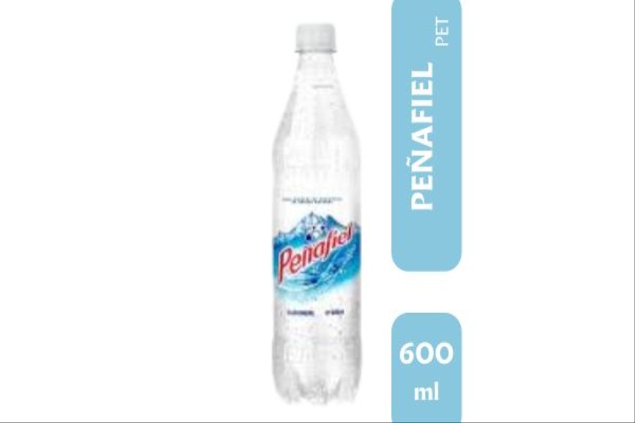 PEÑAFIEL AGUA MINERAL 600 ML
