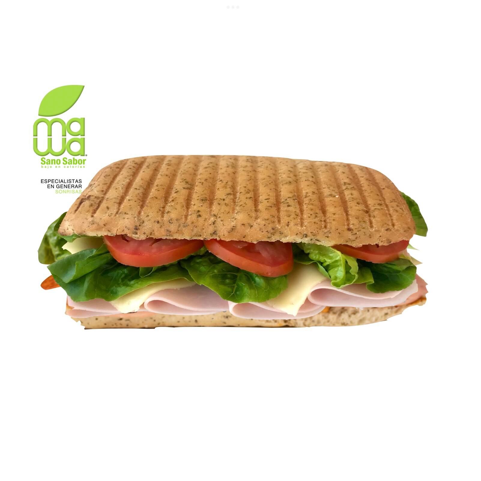 Turkey Panini
