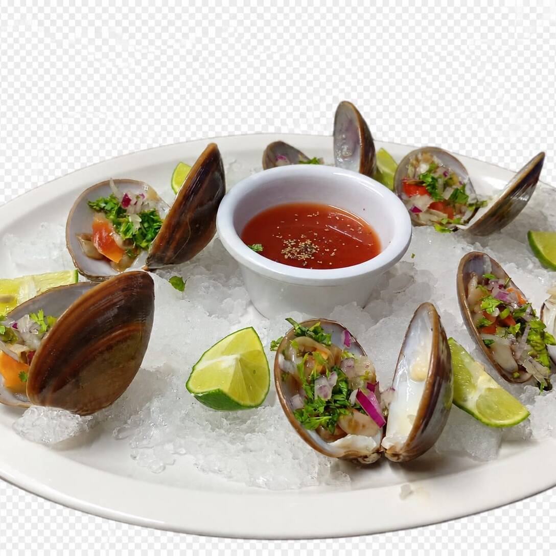 6 Conchas Pacifico