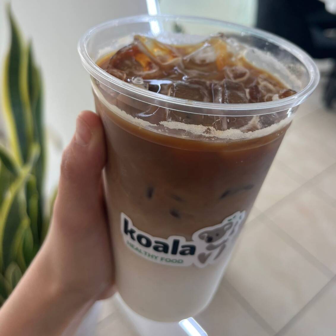 Ice Latte