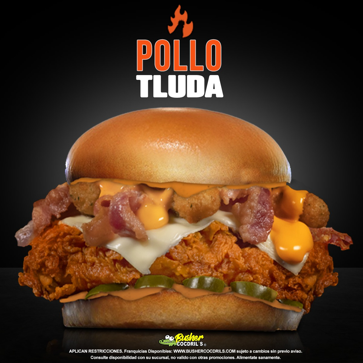 POLLO TLUDA