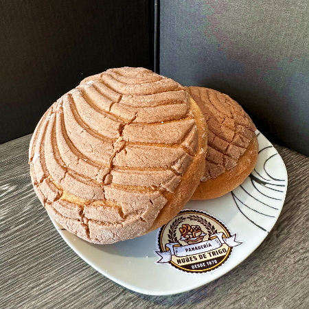 Concha de Chocolate