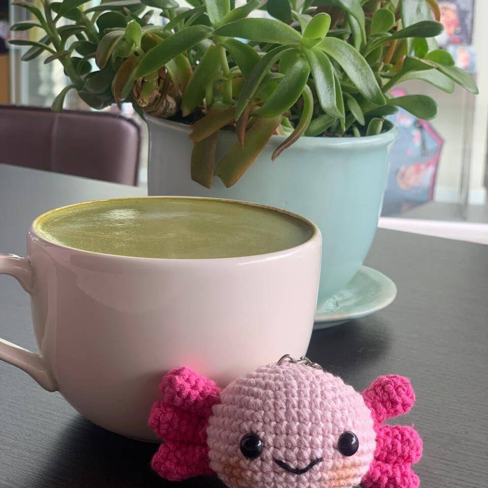 Matcha Orgánico