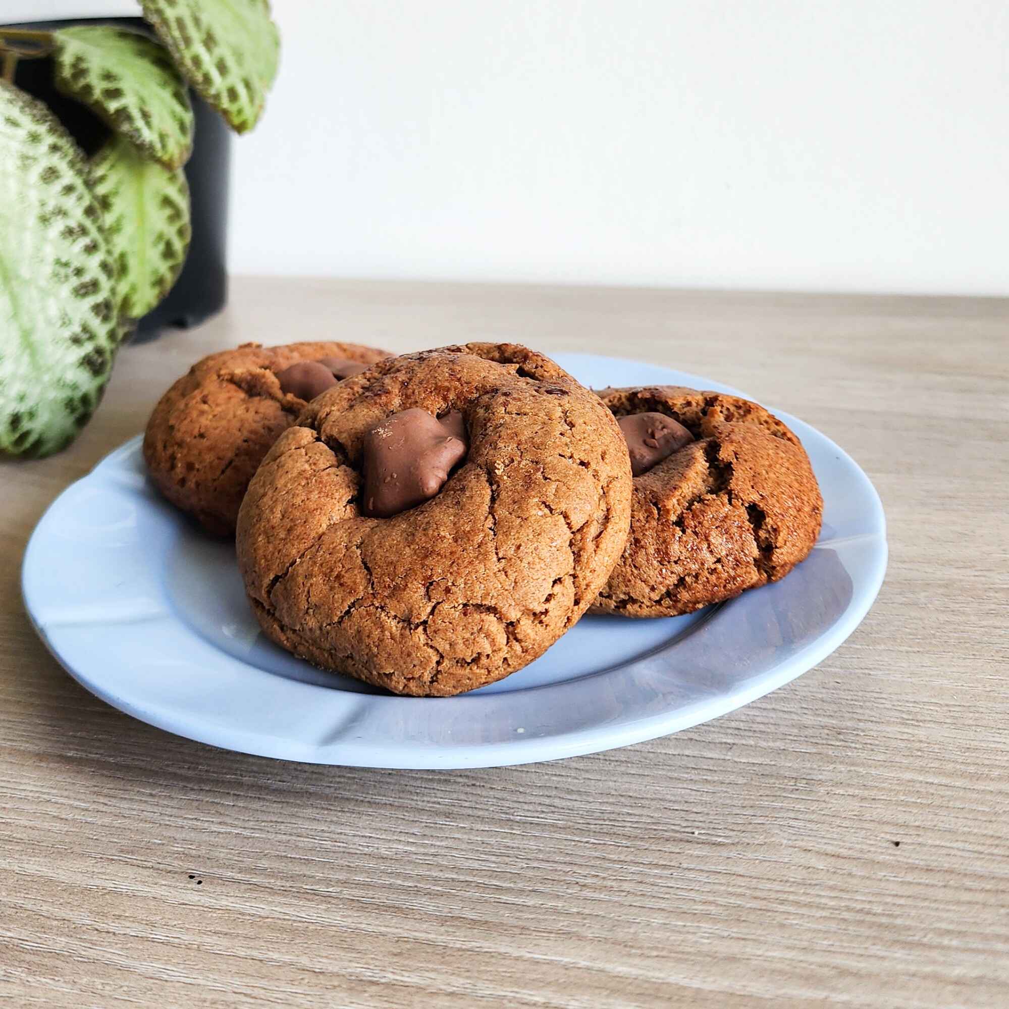 Galleta MILO