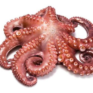 PULPO COCIDO