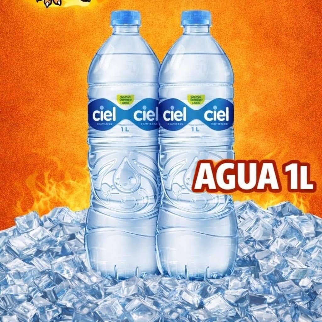 AGUA 1L