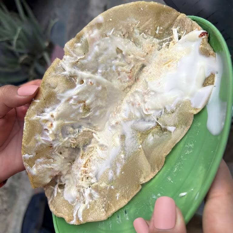 Quesadilla De Queso