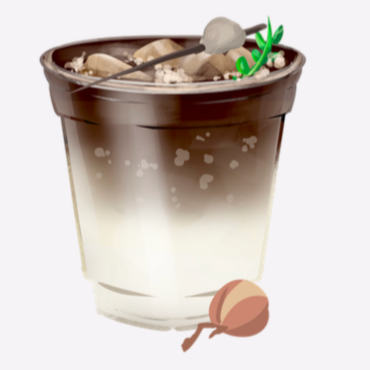 Lychee Soda Americano
