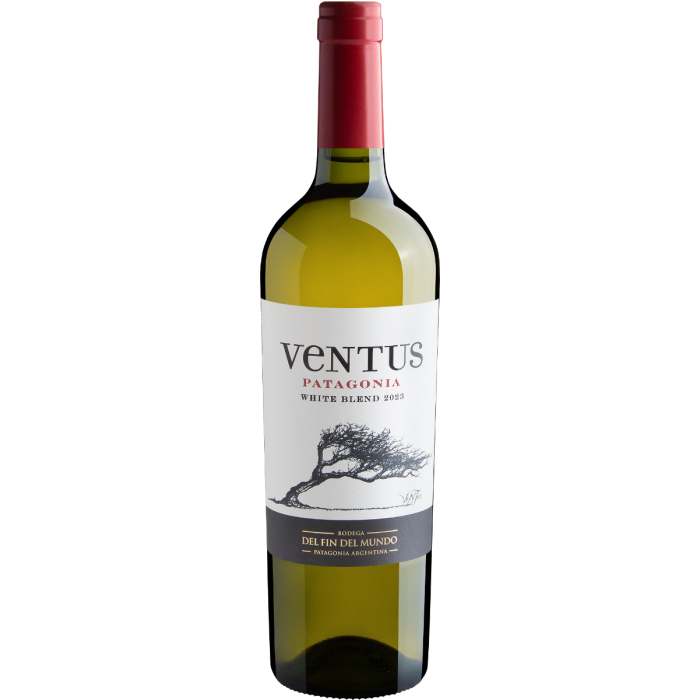 Laborada na Patagônia, uma das regiões vinícolas mais tradicionais da Argentina, esta versão da linha Ventus apresenta um blend das célebres Sauvignon Blanc e Chardonnay. Enquanto a primeira uva aporta à bebida elegância e acidez marcante em boca, a segunda agrega aromas de frutas cítricas e tropicais.