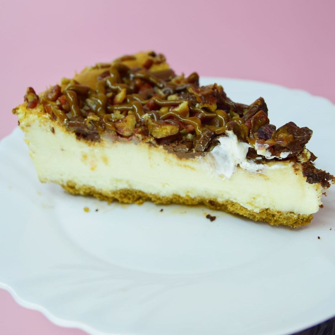 Cheesecake Tortuga