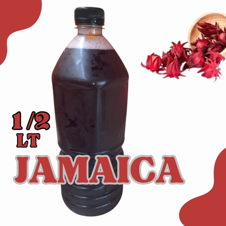 Agua de Jamaica 1/2 lt