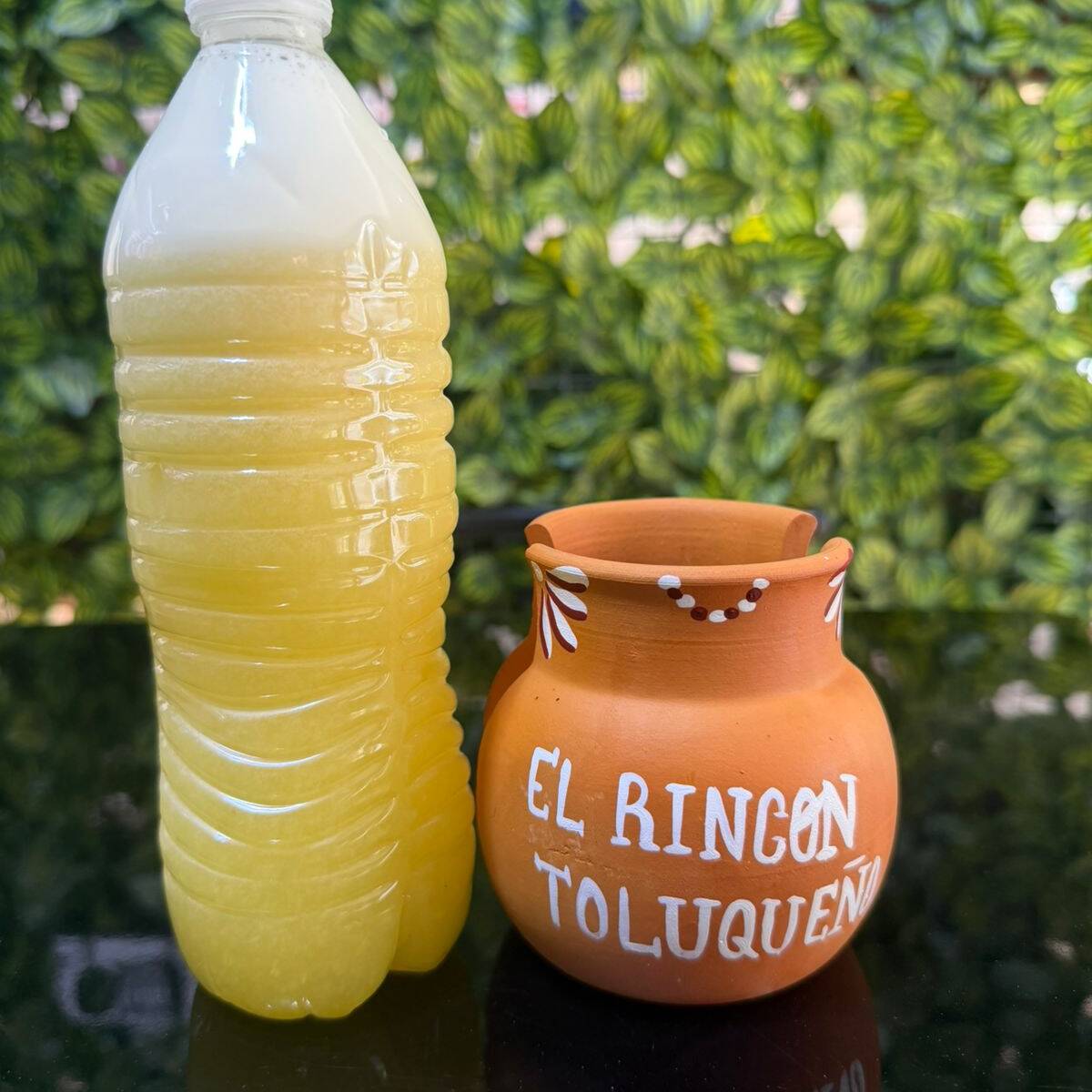 Agua de Piña 500ml
