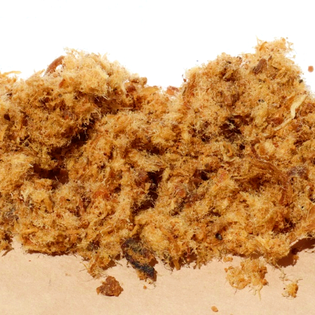 QUESADILLA DE MACHACA