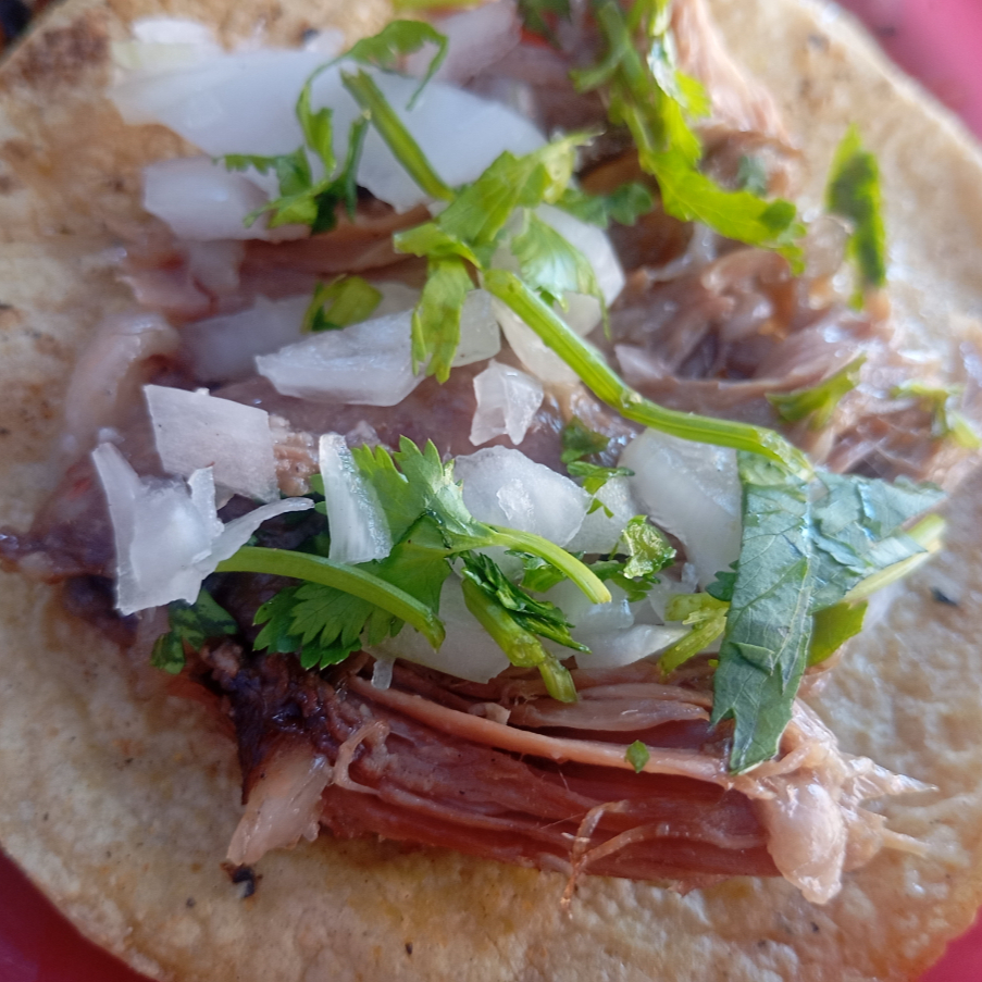 Taco de Maciza de Barbacoa de Cabeza de Puerco