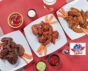 Wings 1974 República de Israel