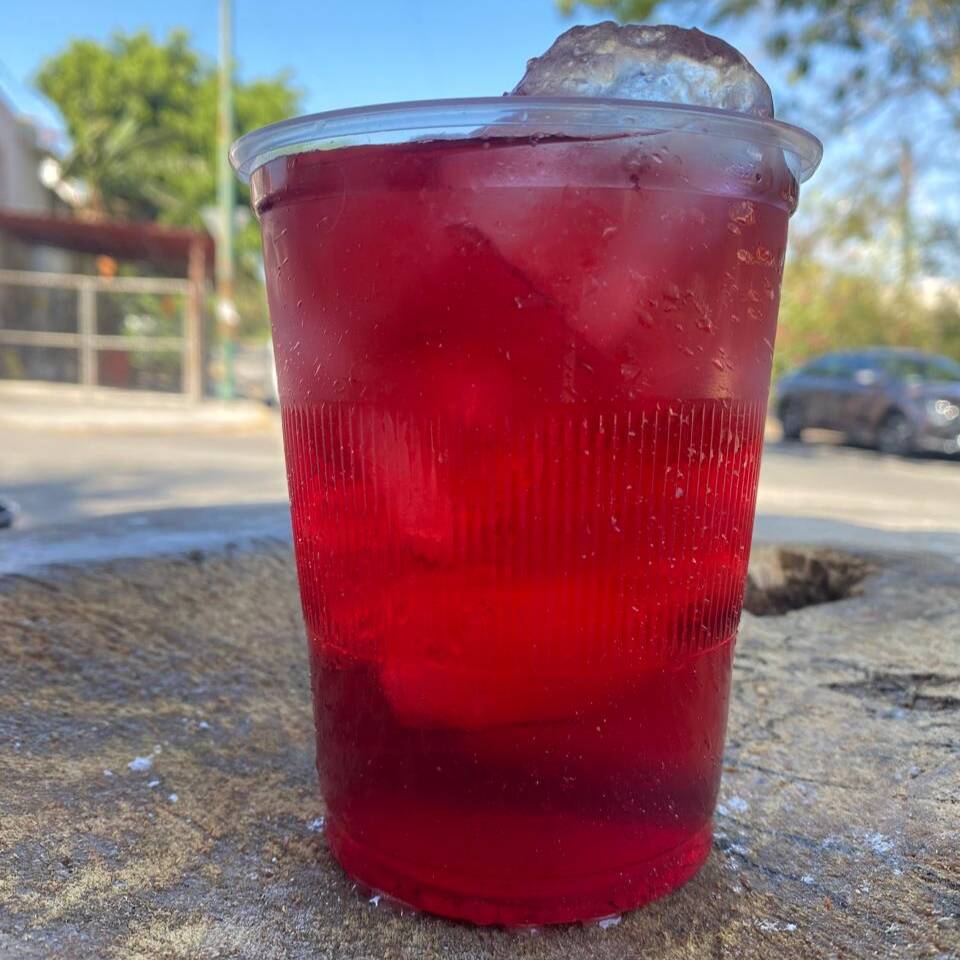 Agua de Jamaica 500 Ml
