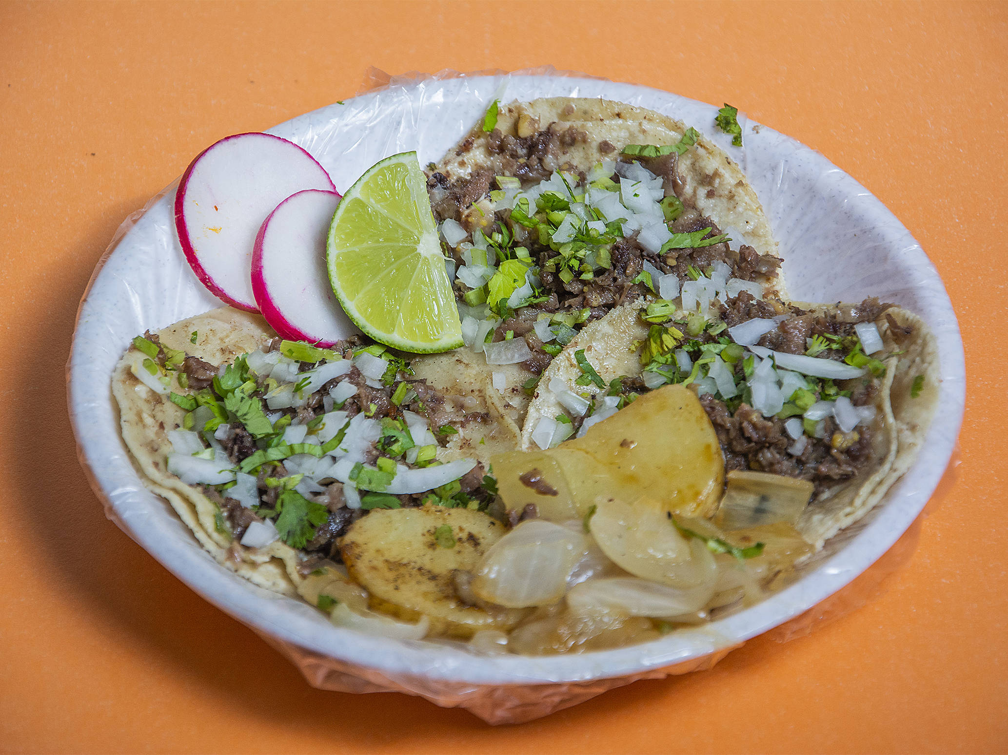 Taco de Labio