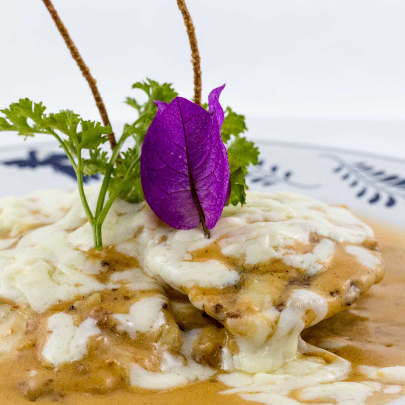 Pollo en Crema de Chipotle