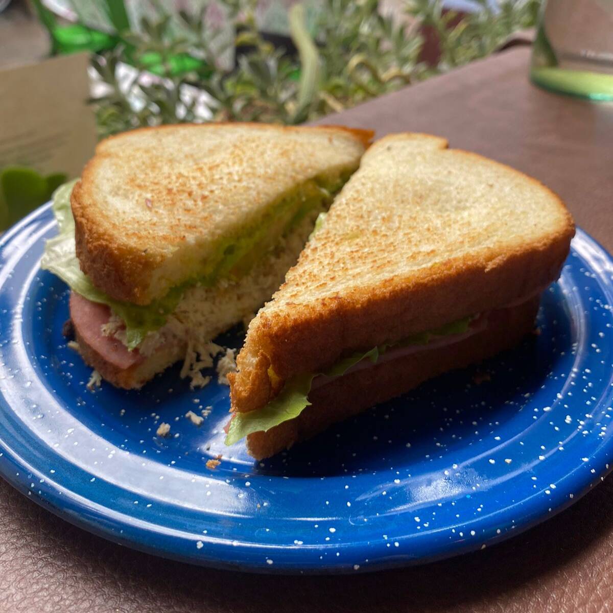Sandwich Especial