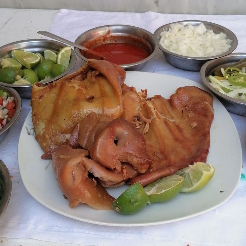 Tacos Trompa