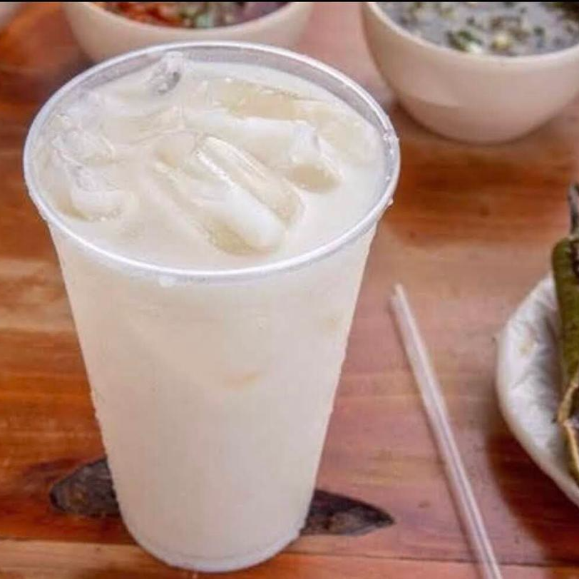 HORCHATA DE COCO 1 LT