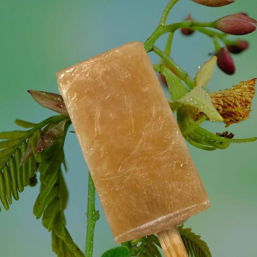 PALETA DE AGUA SABOR TAMARINDO