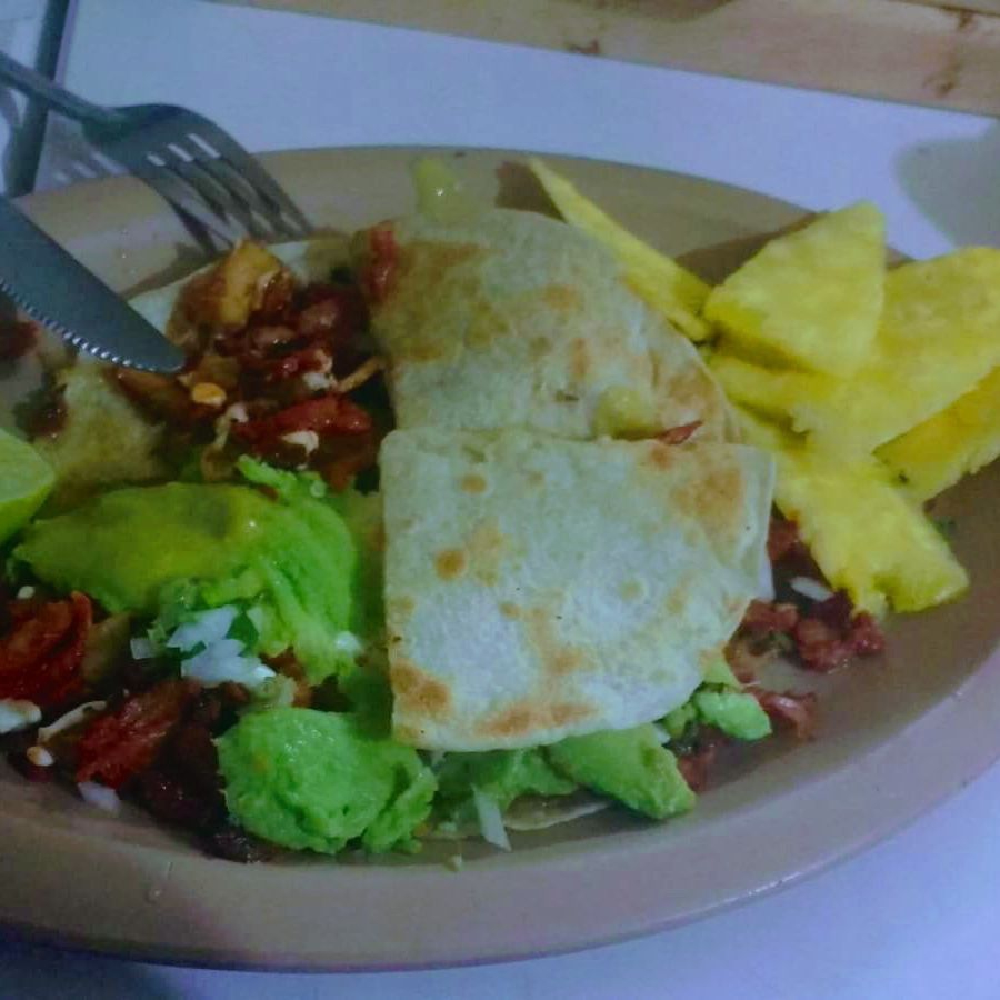 Gringa/🍍 piña/🥑 aguacate