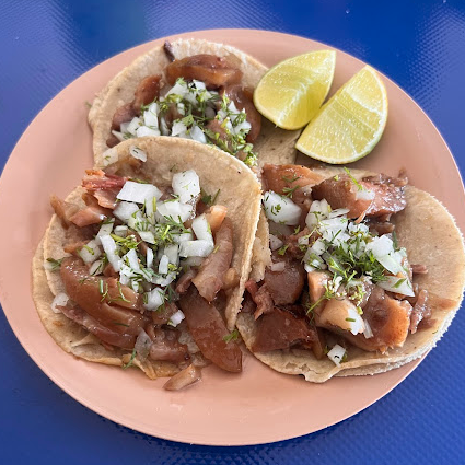 Taco de Trompa