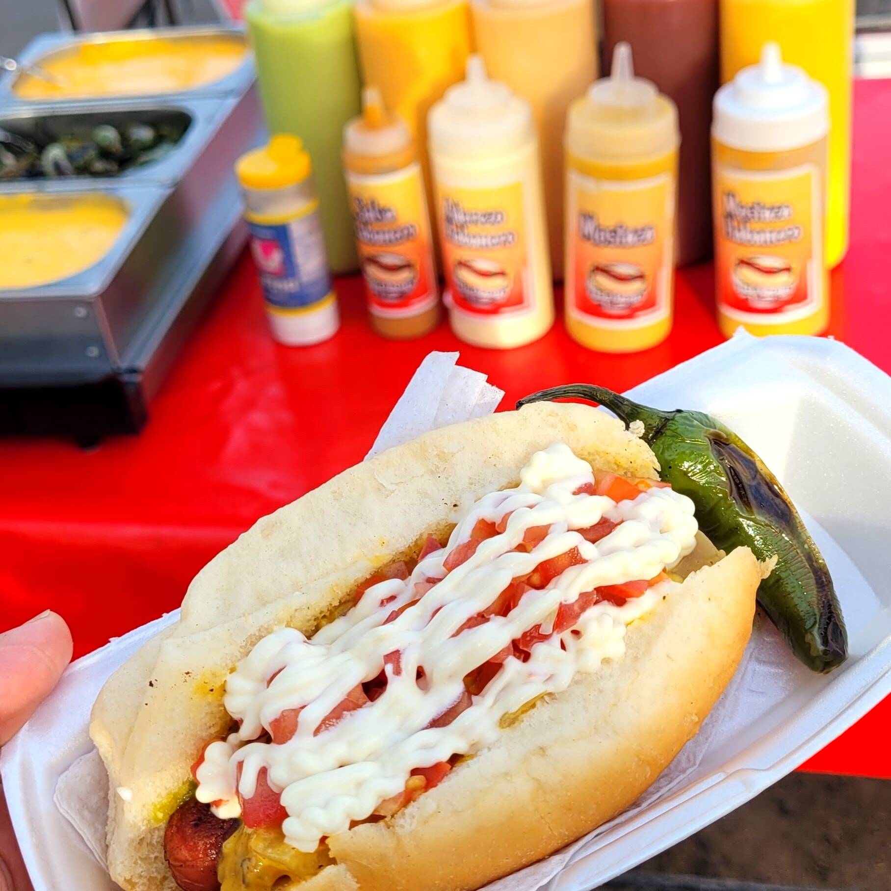 Hot Dog Salchicha Cocida