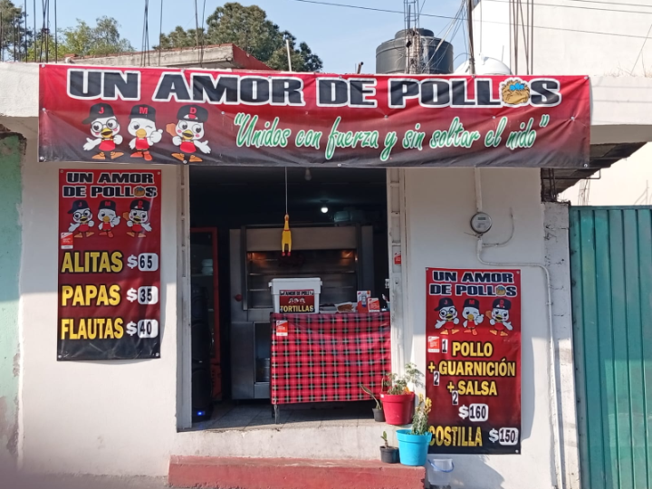UN AMOR DE POLLOS