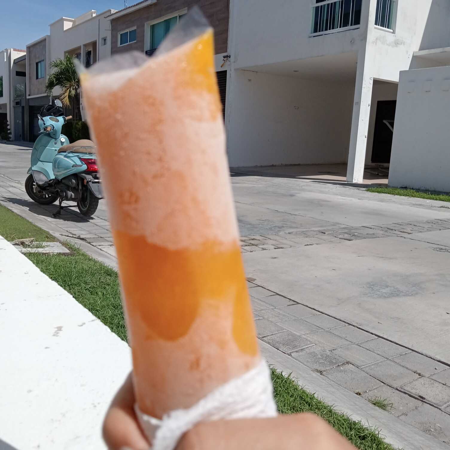 Mango Atasta 50 Pct Pulpa
