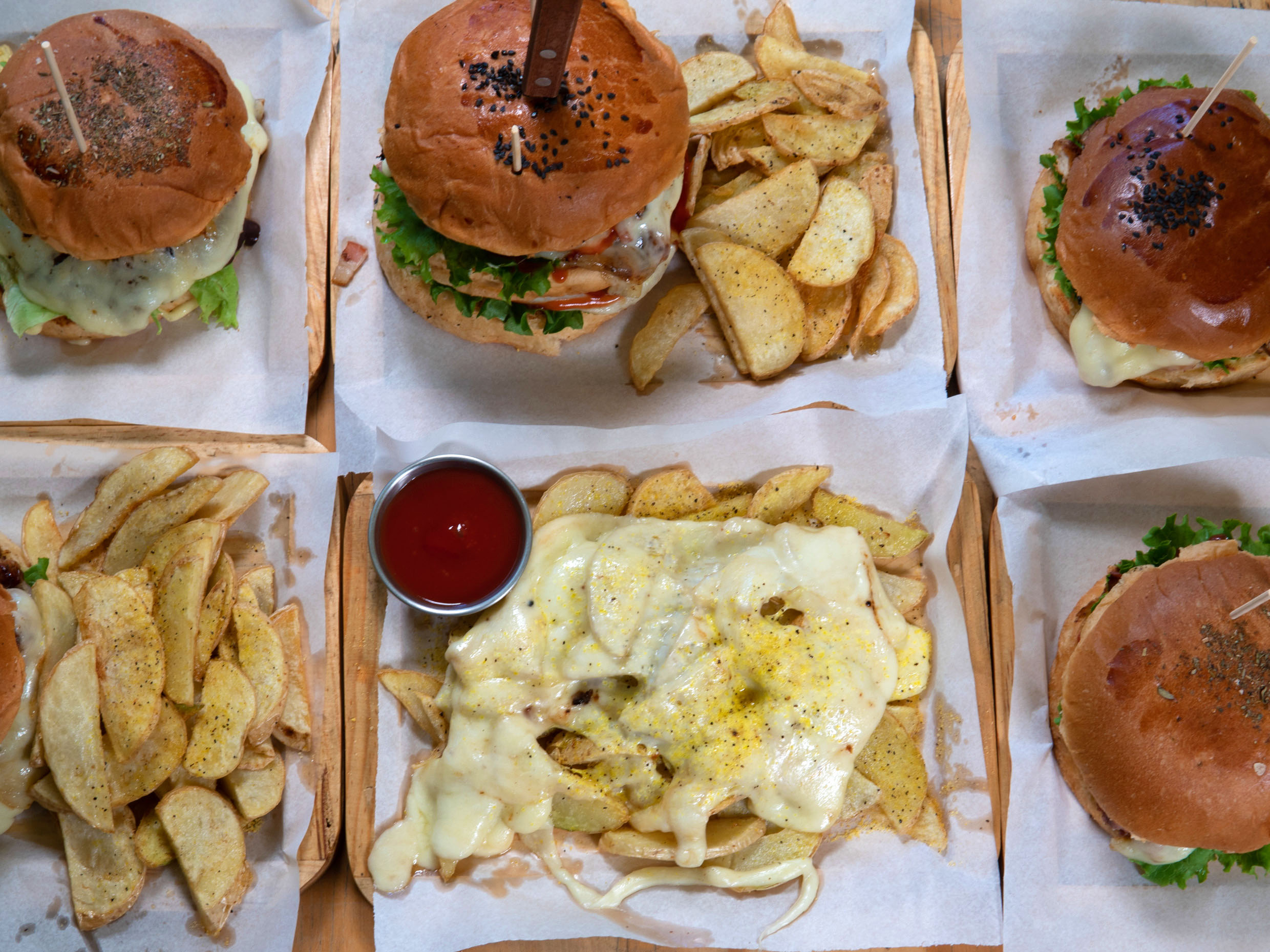 Hamburguesa Boronia Gourmet (Pozos)