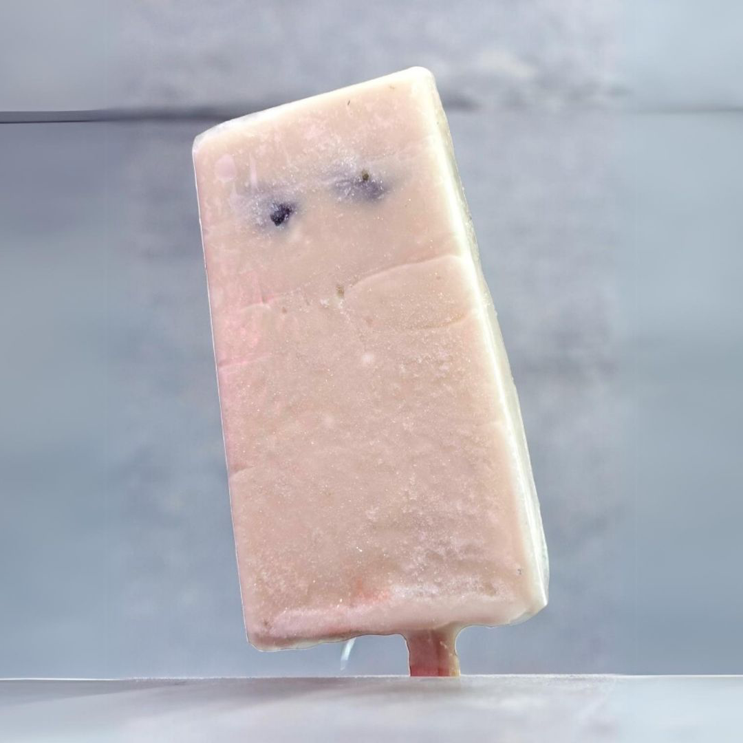 Paleta de Arroz con Leche