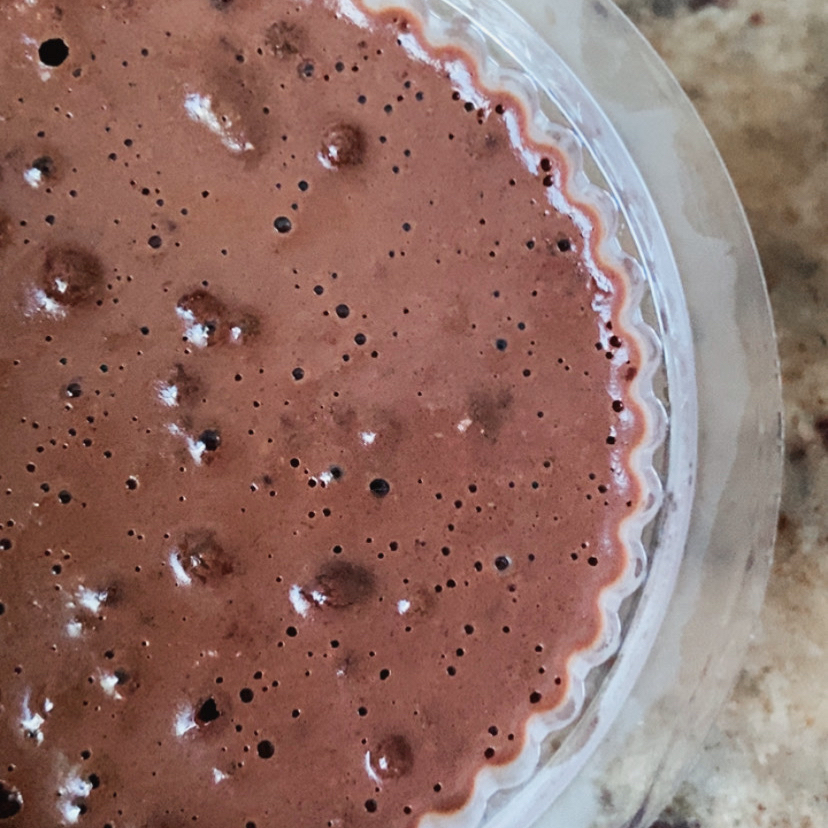 Chocolate 100% cacau, Whey Protein e leite vegetal. Zero açúcar e lactose