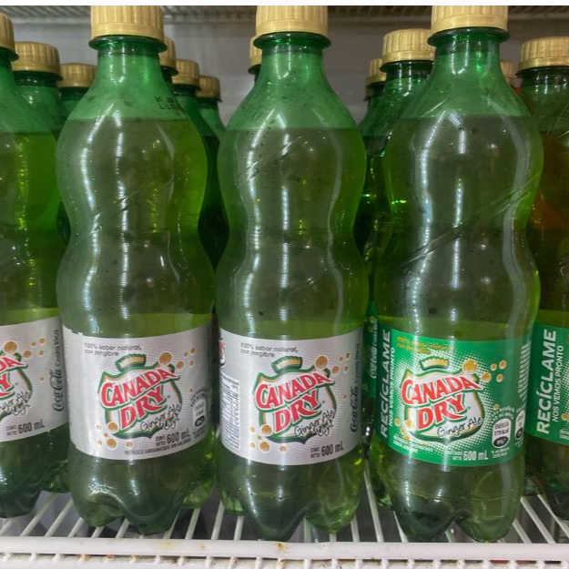 Ginger Ale 600 ml